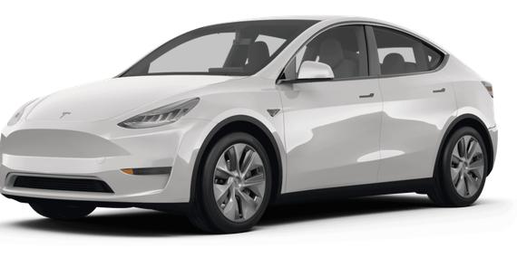 TESLA MODEL Y 2023 7SAYGDEE8PF800537 image